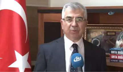 Prof. Arı: 