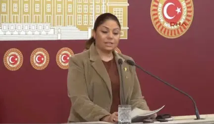 CHP'li Zeynep Altıok Açıklama Yaptı