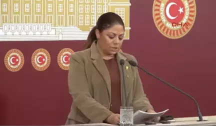 CHP'li Zeynep Altıok Açıklama Yaptı