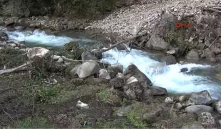 Trabzon-Maçka'da Köy Halkı, Hes Yapılmasına Karşı Çıktı