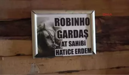 Sivas Yeni Aldığı Atına 'Robinho Gardaş' İsmini Verdi