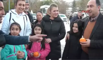 Antalya-Finike'den Mehmetçiğe 20 Ton Portakal