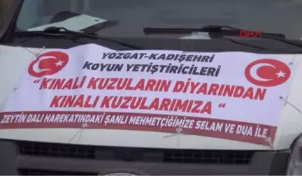 Yozgat-Yozgatlı Çobanlardan 'Zeytin Dalı Harekatı'na 41 Kınalı Kurban Hediye Edildi-hd