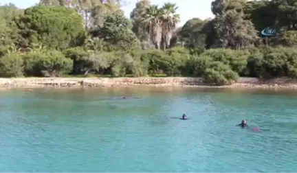 Güvercinlik Sahilinde Yarım Ton Atık Çıkarıldı