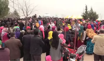 Kahramanmaraş'taki Trafik Kazası - Hayatını Kaybeden Aynı Aileden 9 Kişi, Defnedildi