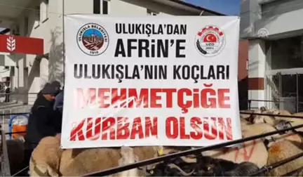 Niğde'den Mehmetçiklere Destek