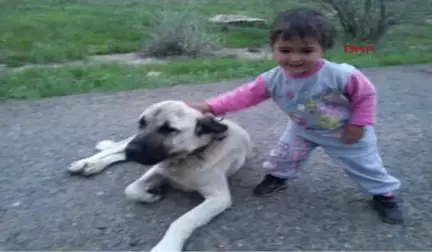 Sivas-Katliamı, Çalan Telefona Cevap Veren 5 Yaşındaki Cennet Haber Verdi-Hd