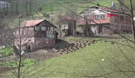 Trabzon-Bu Köy Kanserden Ölüyor