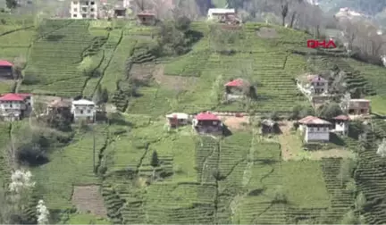 Trabzon Tapulu Arazileri Orman Denilerek Alınan Vatandaşlar Tepkili