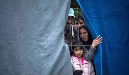 Avusturya'da Yaşayan Binlerce Türk Sınır Dışı Tehlikesi ile Karşı Karşıya