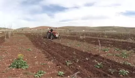 Bakan Fakıbaba'dan 