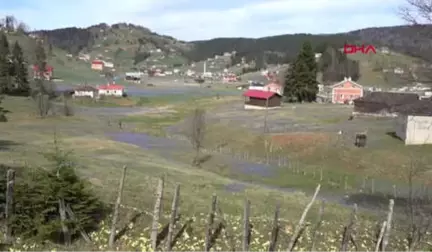 Trabzon Mor Yaylaya Ziyaretçi Akını-Hd