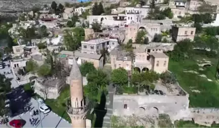 Fırat Kaplumbağalarının