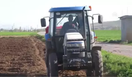 Sandıklı'da Patates Ekimi Başladı