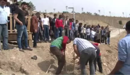 Elazığ'da 300 Fidan Toprakla Buluştu