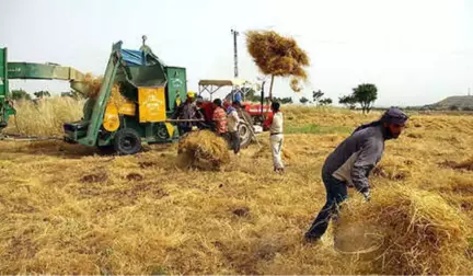 Başbakan'dan Çiftçiye Müjde: Hububat Alım Fiyatını Bin 50 Liraya Çıkardık