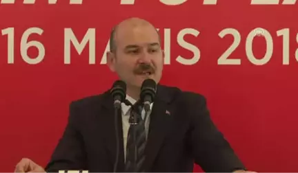 Soylu: 