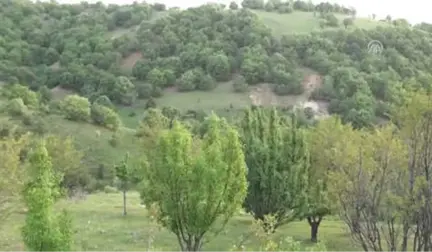 Boş Havuza Düşen Porsuk İtfaiye Ekiplerince Kurtarıldı