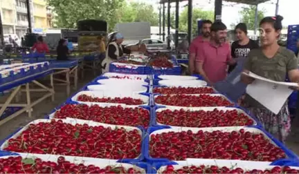 Kiraz Fiyatında Ani Düşüş