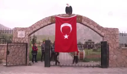 Hakkari'de Şehit Aileleri ve Gaziler İçin İftar