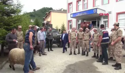 Giresun 2 Terörist Fotokapana Yakalanınca Etkisiz Hale Getirildi -Hd