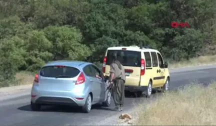 Tunceli Binbaşının Şehit Olduğu Saldırının Faili Gri Listede Aranan PKK'lı Öldürüldü