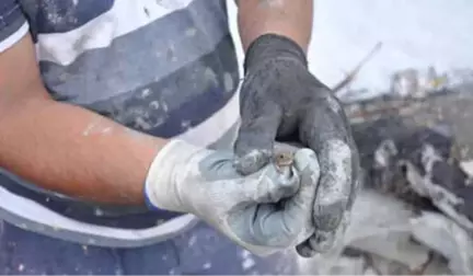 Sağanak Yağmurun Ardından Bir Anda Ortaya Çıkan Kurbağalar İlçeyi İstila Etti