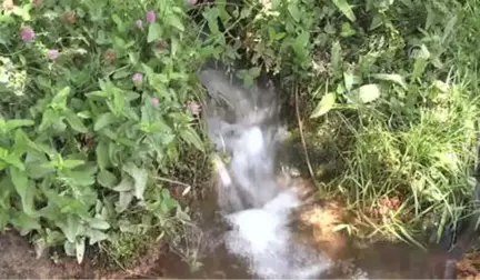 Şimdi Terörün Karşısında Bir Devlet ve Güçlü Ordu Var