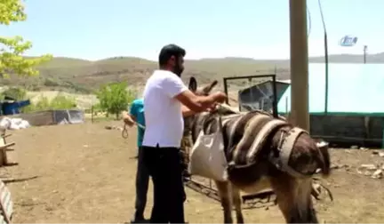 14 Yaşındaki Berdan'ın Lgs Başarısı Dikkat Çekti