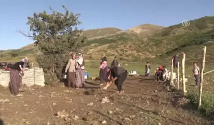 Yayla Yolunda Geçen Yarım Asır - Bitlis