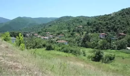 Kaybolan Alzaymır Hastası Bulundu - Yalova