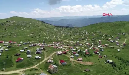 Trabzon Yayla Sakinleri, İmar Barışı İçin Sıraya Girdi Hd