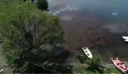Gököz Göleti Büyülüyor