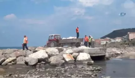 Koku Gelen Kumkapı Sahili Temizlenmeye Başladı