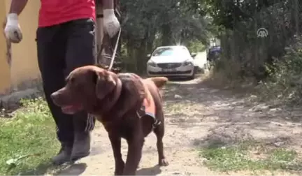 Tokat'ta Kaybolan 3 Yaşındaki Evrim'i Arama Çalışmaları