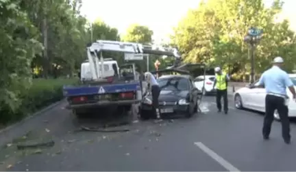 Kontrolden Çıkan Ağaç Ağacı Devirerek Durdu