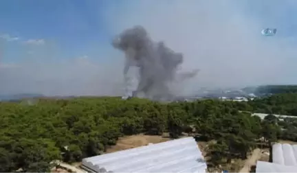 Antalya'da Orman Yangını... Karadan Ulaşım Zor Olduğu İçin, Havadan Müdahale Çalışmaları Sürüyor