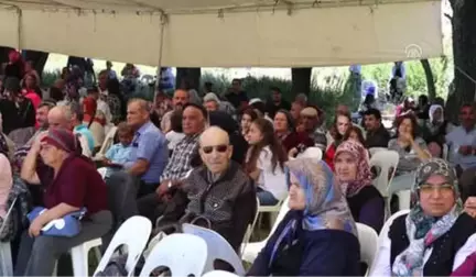 Aziziye Köyü 18. Kültür Sanat ve Yayla Şenliği