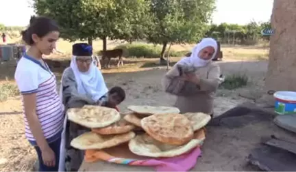 Yıldızlarla Uyuyup, Kuş Sesleriyle Uyanıyorlar