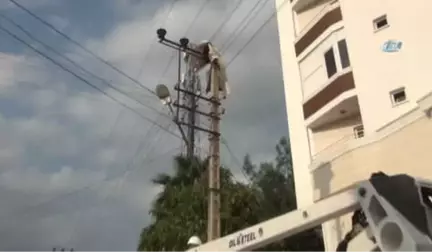 Evin Balkonundan Uçan Halı Elektrik Tellerinin Üzerine Düştü