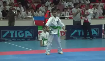 Türkiye Açık Kyokushin Kata ve Kumite Şampiyonası