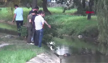 Yalova'da Derede Erkek Cesedi Bulundu
