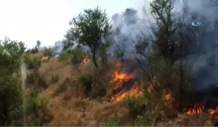 Hizan'da Çıkan Orman Yangınında 3 Bin Dönüm Orman Kül Oldu