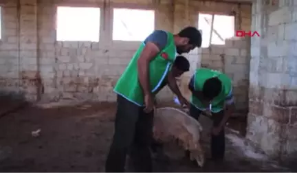 Hatay İhh Başkanı Yıldırım Kurban Bayramı'nda Mazlumların Yüzleri Gülecek