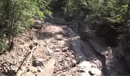 Ordu'daki Şiddetli Yağışın Ardından - Çaybaşı Belediye Başkanı Yanık