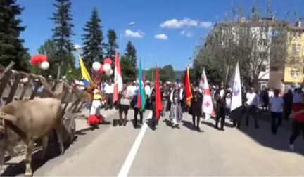 Taşköprü'de Dünyaca Ünlü Sarımsağın Festivali Başladı