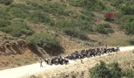 Tunceli CHP'li Erol Tunceli Aliboğazındaki Orman Yangını Söndürüldü