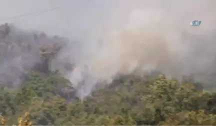 Kastamonu'da Orman Yangını