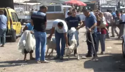 Vatandaşlar Bayramın İlk Gününde Kurban Pazarlarına Akın Etti