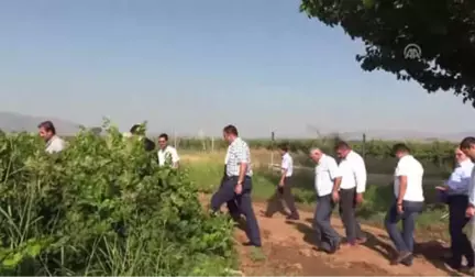 Hatay'da Bağ Bozumu